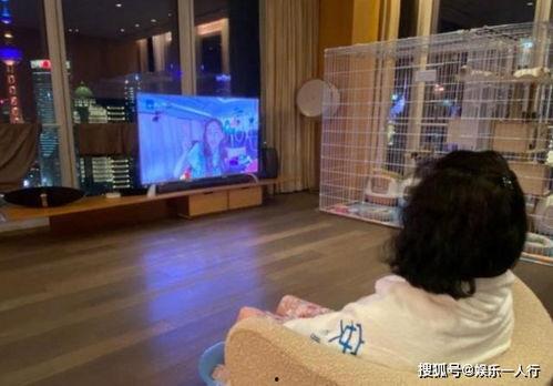 莆田小孩爆料视频曝光,揭开校园霸凌黑幕 第3张 莆田小孩爆料视频曝光,揭开校园霸凌黑幕 第3张