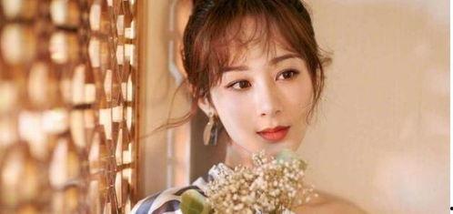 杨紫家世爆料视频播放大全,独家视频播放大全深度解析 第3张 杨紫家世爆料视频播放大全,独家视频播放大全深度解析 第3张